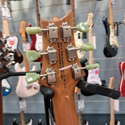 Paul Reed Smith - ZM2TG 2